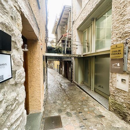 Apartamento Duplex En El Corazon De Camprodon, La Rovira Buitenkant foto